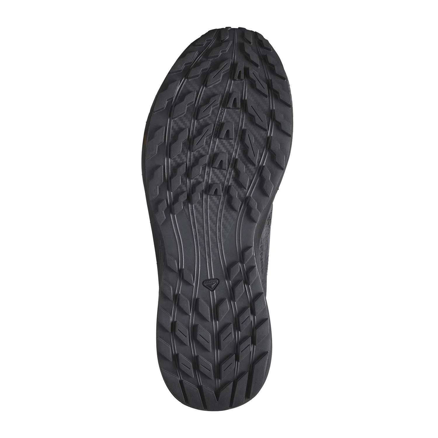 Salomon Sense Ride 5 SR Shoes.